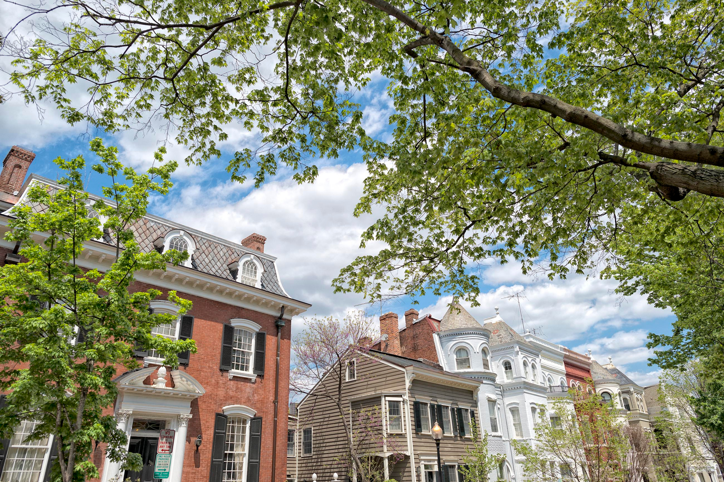 12 georgetown.webp